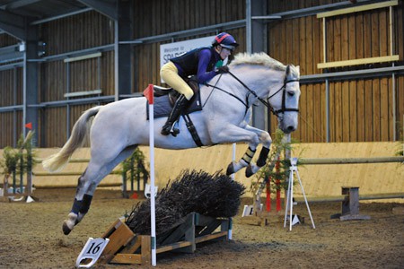 Indoor Equestrian Photography