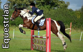 Equestrian Show Jumping Photography