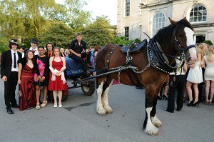 Horse Drawn Arrival at Thomas Hardye Prom 2011