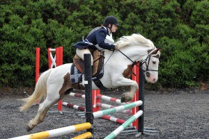 Equestrian Photographer - Shipton Riding Club ODE