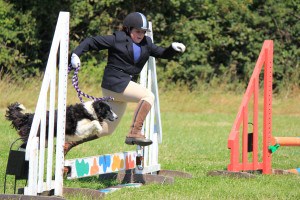 Horse & Hounds Competition