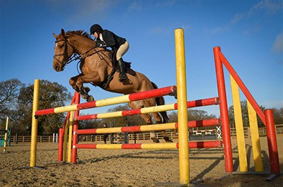 Equestrian Photography Dorset - Horse Photographer UK