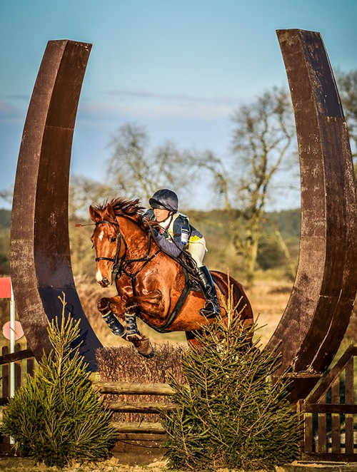 Equestrian Photographer Dorset