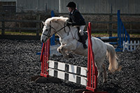 pony club photography