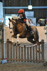 Professional Equestrian Photography Dorset