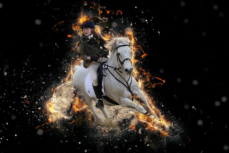 Equestrian Photography Special Edit