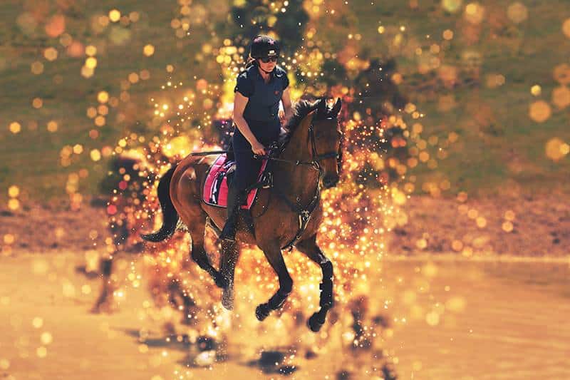 Equine Photographer Customer Edit