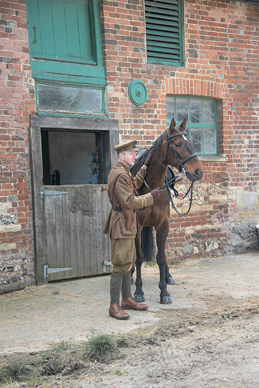 Horse Photography Wall Art Original Photograph before the Watercolour Fine Art edit