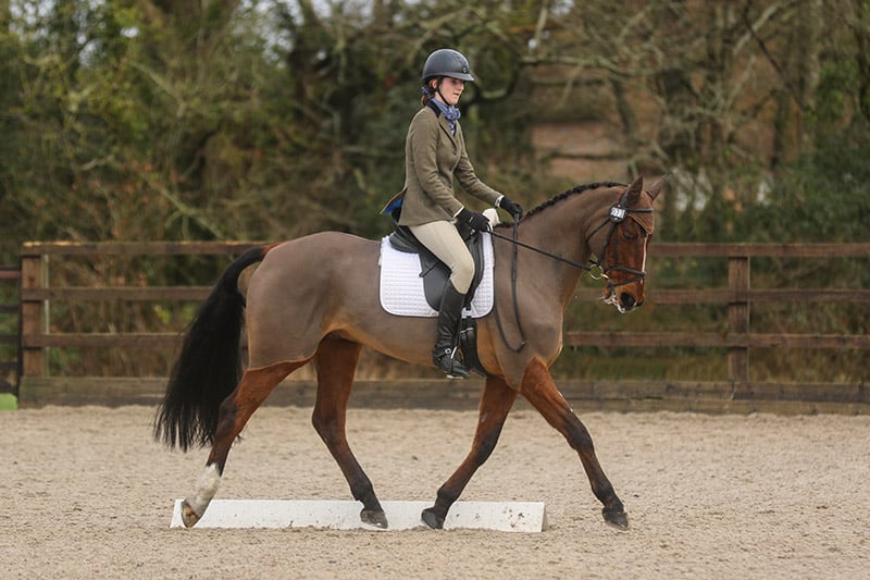 Dressage Photography is about getting the correct stride
