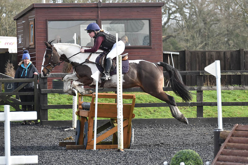 Show Jumping Photograph before the Fine Art Watercolour edit